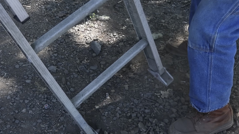 A man sets up a ladder before climbing it