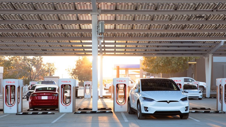 Tesla cars being charged under solar panels located inside a Supercharging station