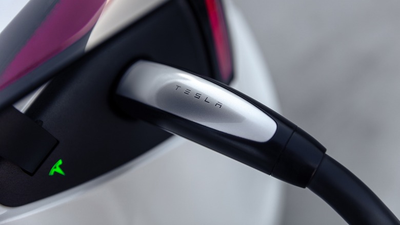 Closeup of a Tesla charger plugged in to a car