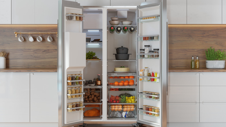 The front view of an open refrigerator packed with fruits and vegetables