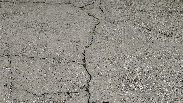 Cracks in concrete driveway