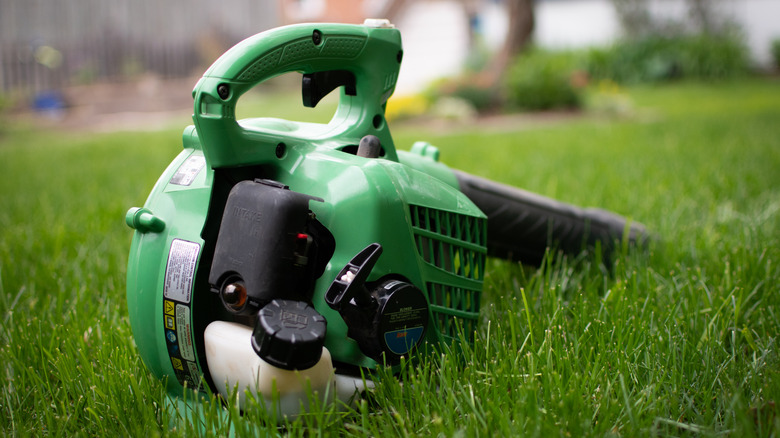 Gas powered leaf blower resting on lawn