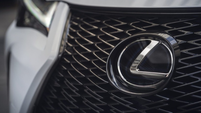 Close-up of a Lexus badge on the UX 300h