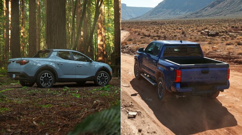 A light blue Hyundai Santa Cruz and a dark blue Toyota Tacoma placed side by side