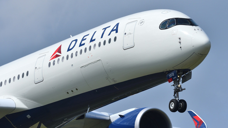 front of Delta aircraft