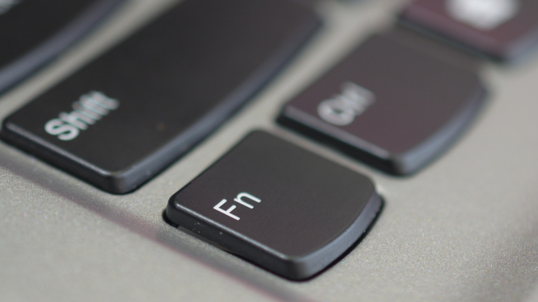 The Fn key on a Windows laptop