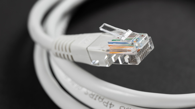 Close-up of a white ethernet cable on a dark background
