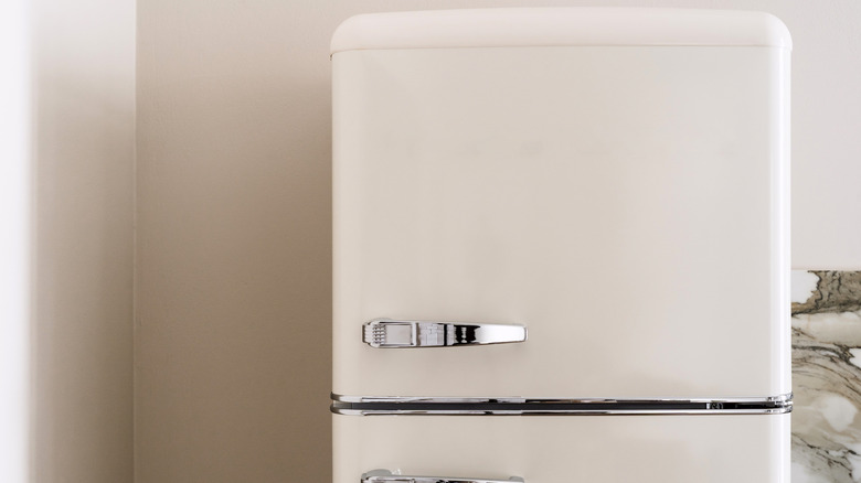 A close up view of the upper portion of a refrigerator.