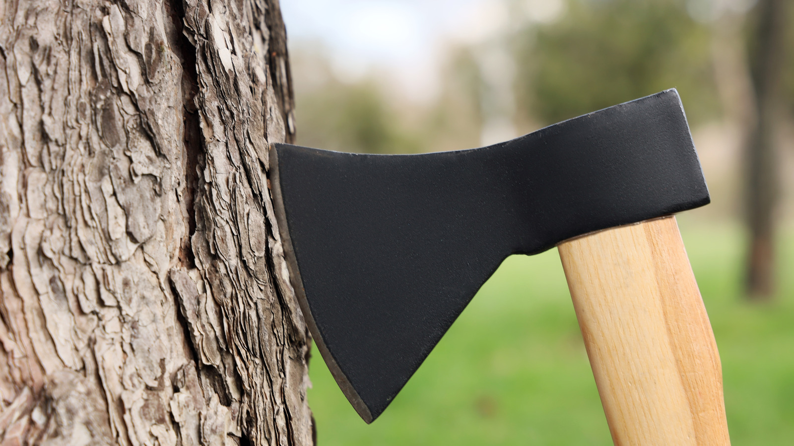 What Is The Notch On An Axe Or Hatchet For?
