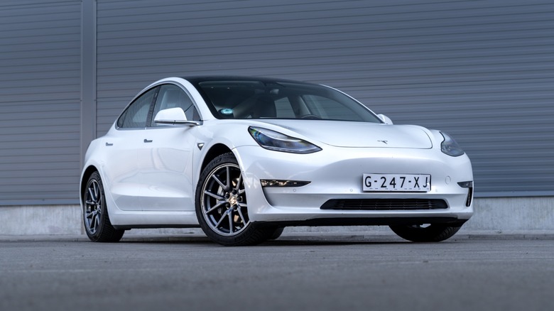 White Tesla Model 3 parked in front of a closed gray garage door