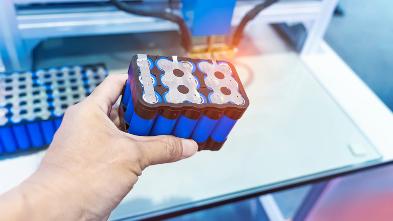 A person holding a set of blue lithium ion batteries