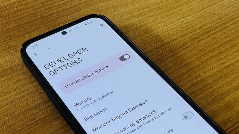 the developer options on android phone