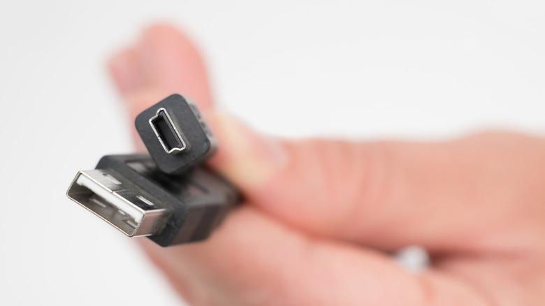 Person holding a USB Type-A to USB Mini-B cable