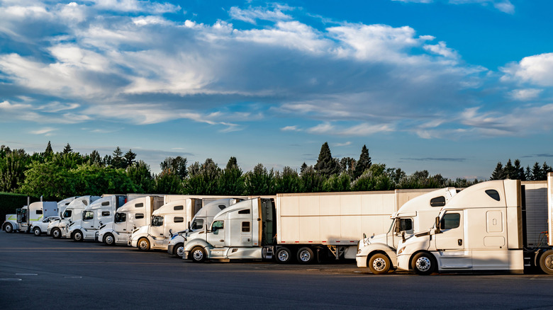 Rows of semi trucks at a truck stop