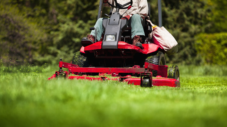 person on lawn mower