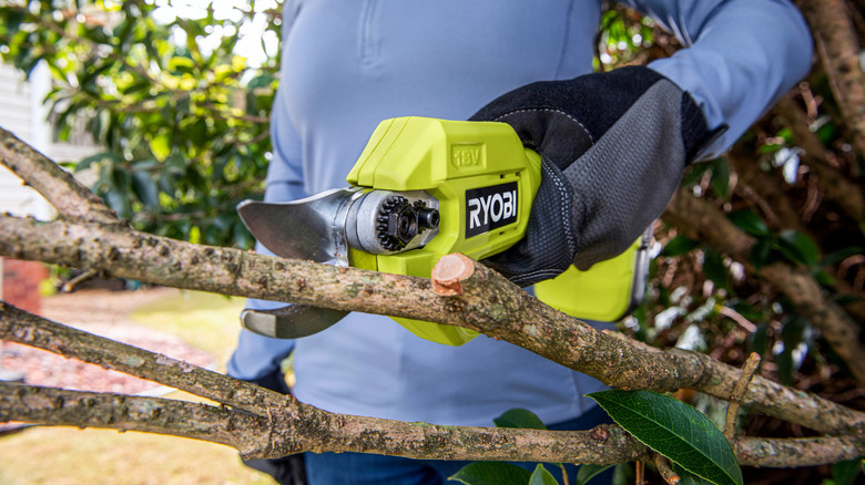 Ryobi Pruner Tools Explained And How Much They Cost