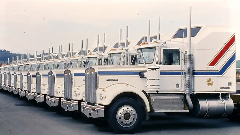 Fleet of identical white 1976 Kenworth W900A trucks parked in lot, left-side view