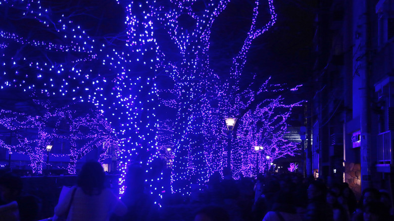 Blue LEDs lighting up trees in a nighttime street