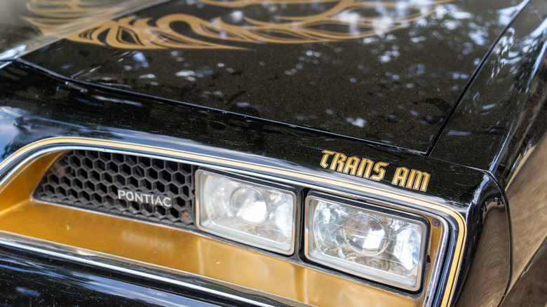 The front end of a black and gold Pontiac Trans Am "Bandit Edition"