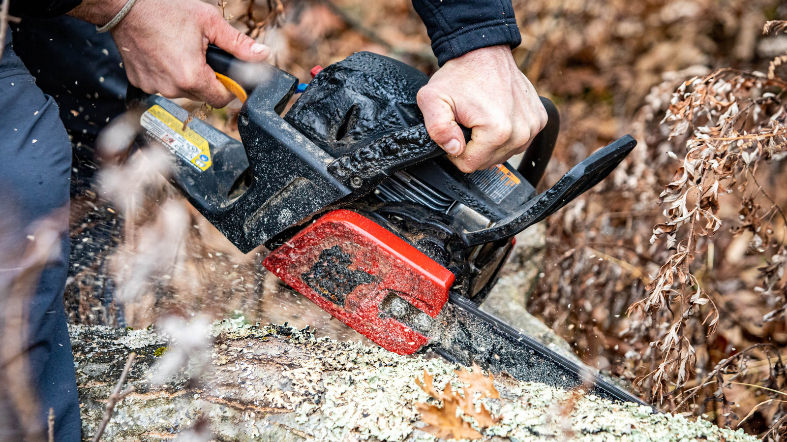 What Makes A Chainsaw Chain A Ripping Chain?