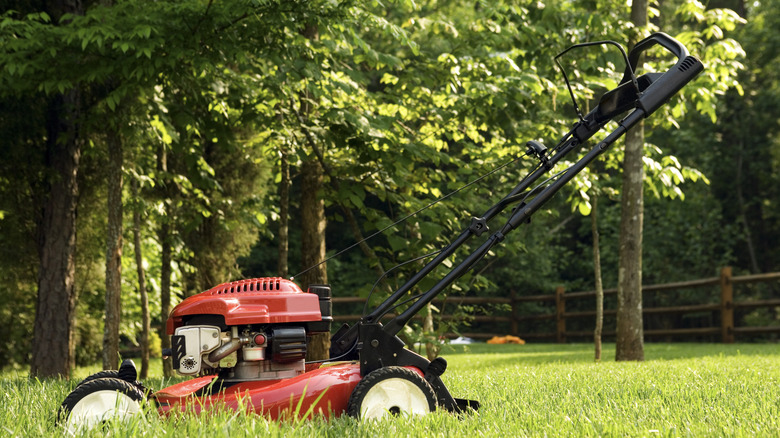 Lawn mower in tall grass on a residential property, trees in the background