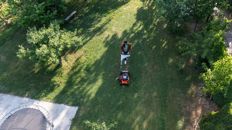 Aerial view of man mowing lawn.