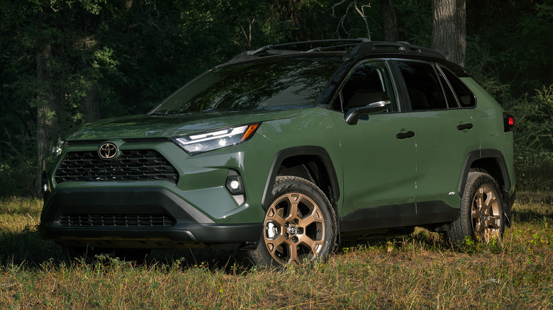 2025 Toyota RAV4 Hybrid Woodland Edition parked on grass in a forest