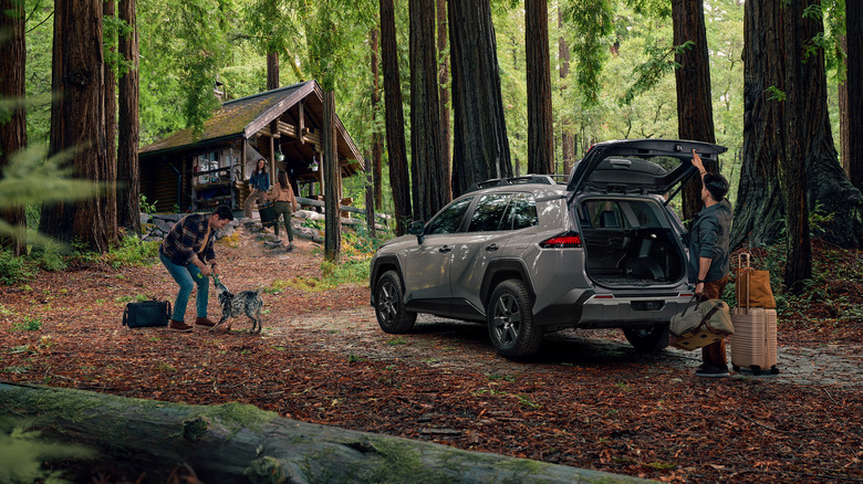 2026 Toyota RAV4 Woodland in the woods