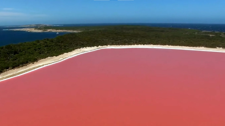 shoreline of Lake Hillier in Australia