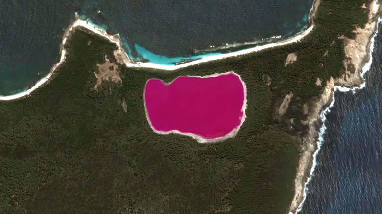 ariel view of the pink Lake Hillier