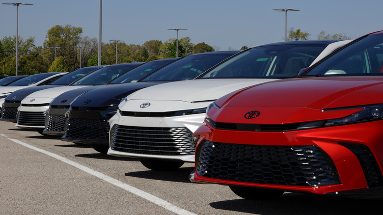 A lineup of new 2025 Toyota Camry models parked on dealer lot.