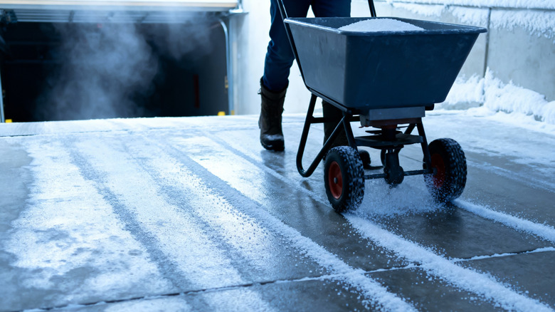 Person salting driveway in winter