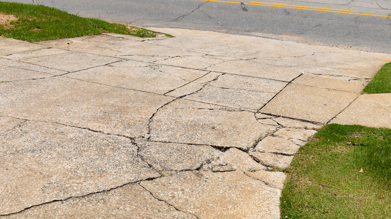 Cracked concrete driveway