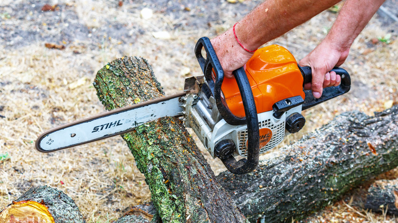 A person cutting a log with a chainsaw.