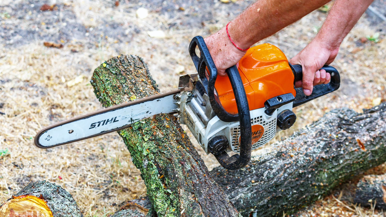 What Size Chainsaw Do You Need To Cut Trees? Here's What You Should Know