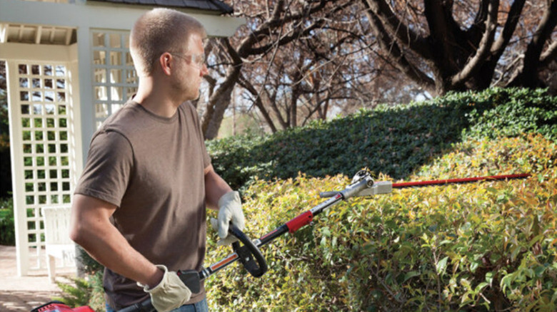 TrimmerPlus hedge trimmer attachment in use