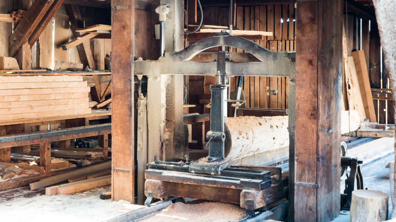 Log on saw mill
