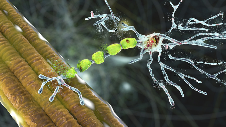 Graphical illustration of ALS