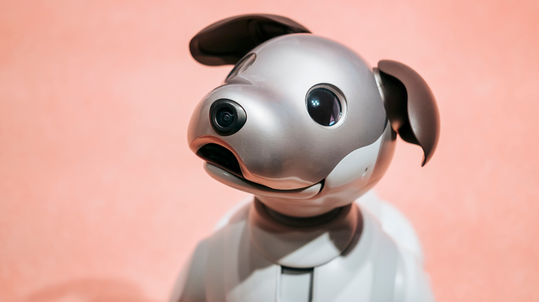 https://www.slashgear.com/img/gallery/whatever-happened-to-sonys-aibo-robot-dog/intro-1693910131.jpg