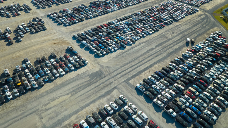 Damaged cars in an auction parking lot