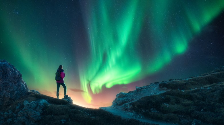 man looking at aurora borealis
