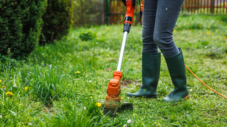 What's The Average Lifespan Of A Weed Eater Engine?