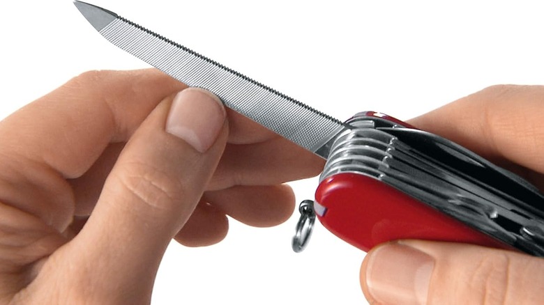 Victorinox Escort