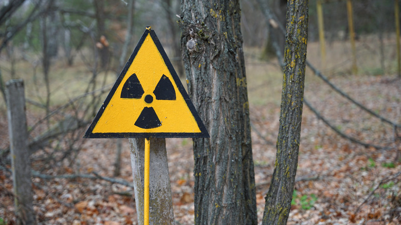 Radioactive warning sign in a forest outside Chornobyl