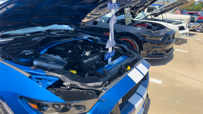 Shelby GT Mustang model hood up