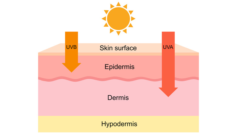 A representation of what UVA and UVB rays do to a human skin