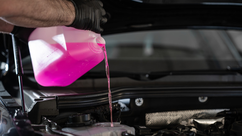 Mechanic pouring pink coolant into engine