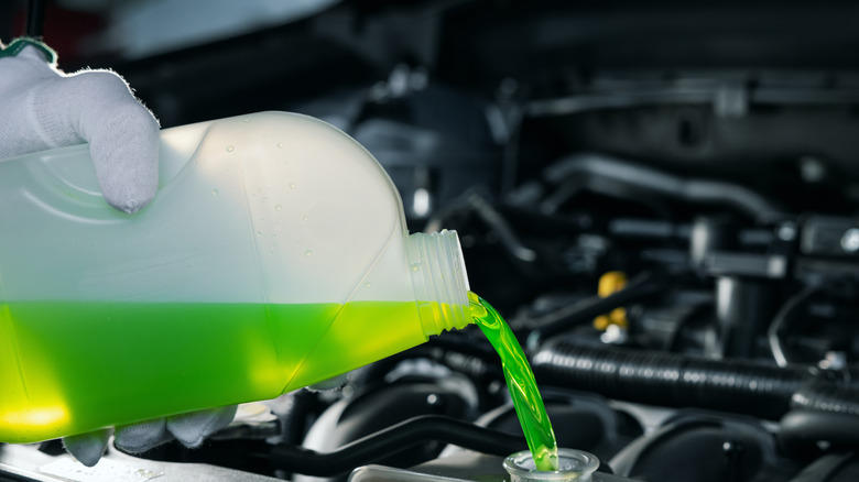 Mechanic with gloved hand pouring green coolant into radiator