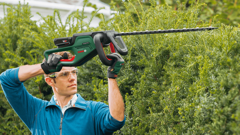 Home landscaper using a green Bosch hedge trimmer