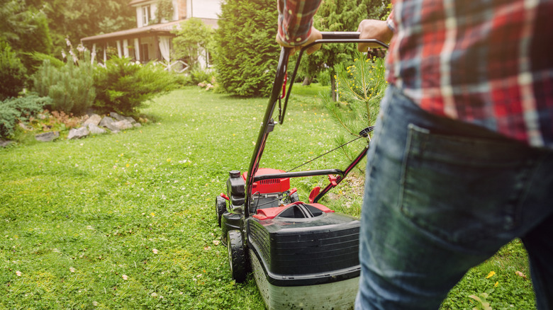 Person cutting grass with a lawn mower